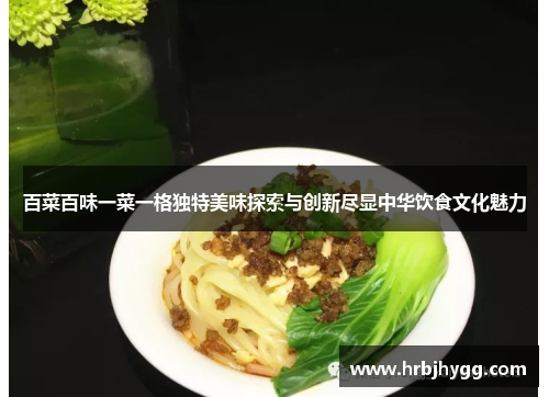 百菜百味一菜一格独特美味探索与创新尽显中华饮食文化魅力